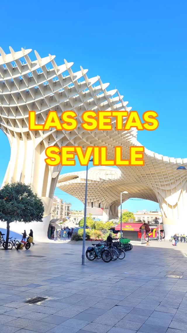 Looking for a wheelchair-accessible viewpoint in Seville? 👩🏻🦽
The Metropol Parasol, better known as “Las Setas,” or the Mushrooms, blends ancient history with modern design. Completed in 2011 and designed by Jürgen Mayer, it’s the largest wooden structure in the world.
Beneath it lies the Antiquarium of Seville, where Roman, Visigoth, and Moorish ruins reveal over a thousand years of history uncovered during construction.
The site is largely wheelchair accessible, with lifts connecting each level. You can reach the top, but some sections include steps, so it’s not possible to roll all the way around. There’s also an immersive film about Seville’s history before you head up.
It’s worth visiting both in the daytime and at night, when the mushrooms light up in a spectacular show above the city skyline.
Thanks for watching! Follow us for more wheelchair accessible places to visit.
#lassetas #seville #accessibleviewpoint #disabledtravel #metropolparasol
@spain