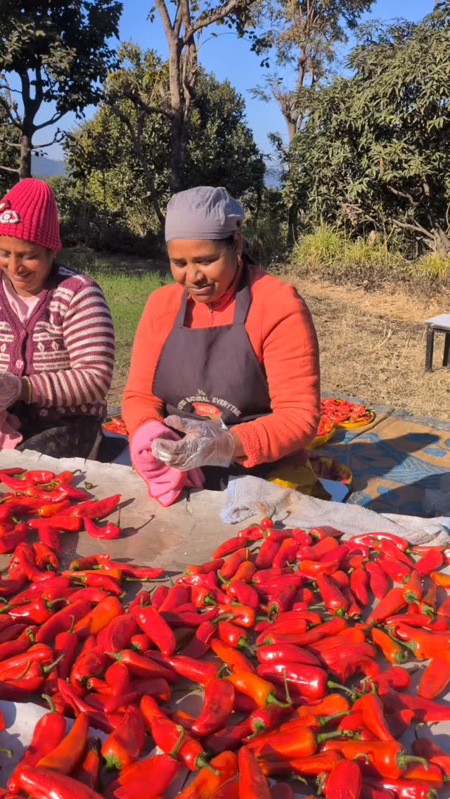 Gently wipe each chilli clean, then leave them under the open sky to soak in the warm mountain sun. As they dry, they carry a quiet touch of the hills, so that every jar of pickle you buy, holds a little bit of that sunshine within it 🤍