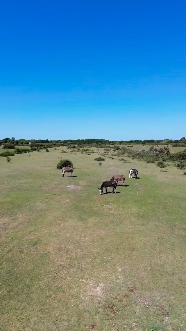 Short breaks from £425 ✨
Stay in a cosy 2-bedroom cottage nestled in the heart of the New Forest 🌲 Open-plan living, fully equipped kitchen & comfy bedrooms for a home-away-from-home feel
Private garden perfect for BBQs, morning coffee & unwinding in nature ☕🔥
On-site pub, cycling routes & wild ponies right on your doorstep 🐎🚲
Perfect for couples, families or a peaceful last-minute getaway 💫
#NewForest #CottageStay #StaycationUK #ShortBreaks #CountrysideEscape