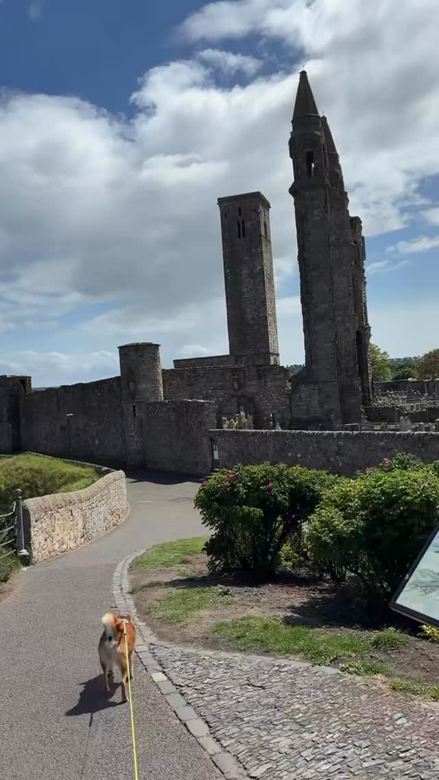 It’s the last weekend before schools return from the Easter break, and there’s plenty happening in town 🎉
From the Kate Kennedy Procession to the Sands Film Festival, it’s the perfect time to soak up the atmosphere and make the most of St Andrews.
And while you’re here, why not bring your furry friend along too? 🐾 We’ve got so many brilliant dog-friendly spots ready to welcome you.
If you’re out and about, be sure to pop in, have a browse, and support local 💛 #lovestandrews
