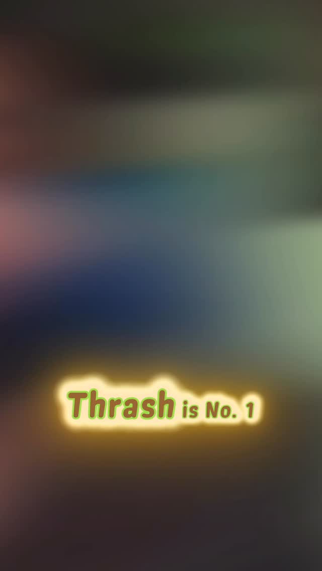 Thrash is number 1 on Netflix right now, but is it any good? Let me know if you’ve seen it and if I should watch it this weekend. #netflix #thrashmovie #whattowatch