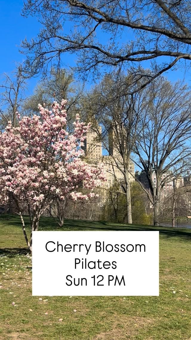 Don’t miss our Cherry Blossom Pilates class tomorrow, Sunday, 12 PM. Register at link in bio. 🌸
#centralparkpilates #pilatesinthepark #thingstodoinnyc #secretnyc #upperwestside