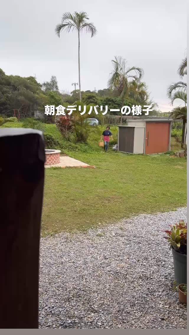 朝食デリバリーの様子を
インスタ撮影がとても素敵なゲスト様
にご協力頂き撮って頂きました!✨
いつもこんな感じで楽しくお届けしてます。
お越しの際は、ぜひ朝食お楽しみ下さいませ❣️
お越しをお待ちしております☆
#わらゆん家 #沖縄貸別荘 #ログハウス #沖縄北部 #沖縄コテージ