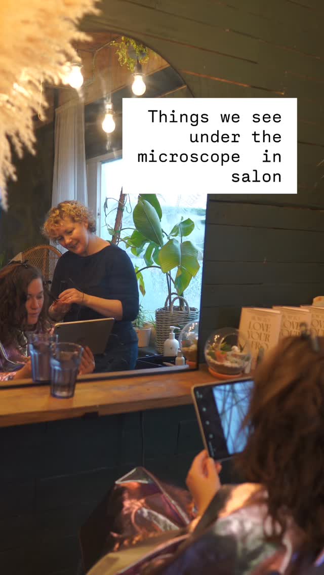 A scalp analysis forms the first part of every client journey. It’s here that we can understand what your hair is really telling us!
Your scalp controls the amount of natural oils (sebum) that can distribute to each hair strand, it is home to over 10,000 bacteria per square cm, it’s where your hair grows!
We can see if your hair is stressed, how you’re cleaning your skin and if your dandruff needs further investigation with a trichologist.
We can see if your current routine is causing damage to your hair, when the last time you had a cut was, what products do to your hair.
But most of all the scalp analysis gives us a whole picture of what’s going on with your hair so we can make a plan to fix it!
It’s by far one of the most beneficial tools we have trained in and we geek out every time!
#curlspecialist #curlyhairdresser #bournemouth