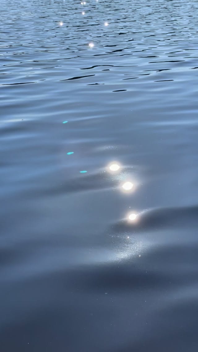 Järvi on auki. Ollut jo jonkun aikaa.
Aurinko paistaa ja tien varrella on leskenlehtiä
🌼✨🐦⬛🌼🦋🌼✨
Ihanaa!!!
Tänään kävelin rantaan rauhassa tyttären koiran kanssa. Kävin uimassa ja kävelin kotiin.
Sain olla muutaman tunnin täysin yksin.
Mies on reissussa. Poikanen oli koulussa.
Vaikka olen ollut koko alkuvuoden sairaslomalla, kaikkea pakollista hoidettavaa on kuitenkin jatkuvasti. Kaistat täyttyy vaikka kuinka koitan pitää kalenteria tyhjänä.
Ja ihmisiä on ympärillä. Rakkaita ja ihania aarteita joista olen äärettömän kiitollinen.
Parisuhdekin on kevään kuluessa saanut ihan uusia syvyyksiä ja ulottuvuuksia mistä olen todella fiiliksissä 💫❤️🔥💫💫
Mutta aina joku myös tarvii jotain. On se eri olla välillä yksin rauhassa. Kysyä mitä mulle kuuluu 🙃 Aah!!
Toipuminen etenee. Sain aloitettua pitkästä aikaa ketoruokavalion muutama viikko sitten. Ihanaa kun voin tehdä jotain kehoni hyväksi vaikken pysty kauheasti liikkumaan.
Pystyn jo fyysisesti silti touhuamaan jonkun verran ilman hermoston romahtamista. Mutta välillä se tipahdus tulee myös viiveellä. Joten katsotaan miten käy uinnin ja kävelyn kanssa 🌚
Henkinen kuormitus ja stressi tuntuu olevan huonompi juttu. Sitä keho kestää selvästi vähemmän. Eli olen opetellut olemaan stressaamatta niin hyvin kuin ikinä pystyn
✌️😌
Olen myös rauhakseltaan maalannut @vesamikael toimistoon hänen tilaamaansa muusataulua. Kuukausiin en pystynyt edes ajattelemaan maalaamista.
Nyt yksi iso ja tosi voimakas teos on juuri valmistumassa 🖤💫✨ jännää 🖤🖤🖤
Ihanaa kevättä sulle 😘😘😘
