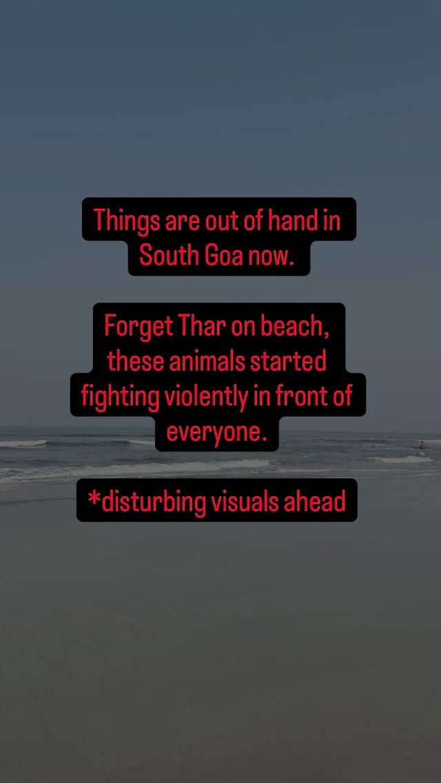 Tonald Drump is coming to meet and consult Miku on next steps. However, Chiku claims she is ready with her friends who are fond of attacking all pigs.
#goa #southgoa #goaairbnb #geopolitics101 #iranus