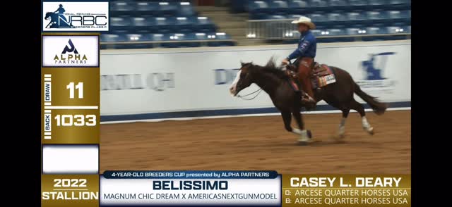 @dearyperformancehorses and NRHA Futurity Champion Belissimo owned & bred by Arcese Quarter Horses crack open the 2026 NRBC with a 224.5 in the 1st go!
#horsesofinstagram #nrbc #reining #nrha #equestrian