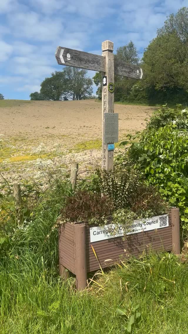 Today’s Marketing in the Wild episode comes with a very special coworker… Odie!
Yes , the world’s fluffiest project manager joined me on Offa’s Dyke Path to help film our latest vlog Stay Consistent, Stay on the Path #amazingmarketingcreations #midwales #brandconsistency #smallbusinesses #llanymynech
