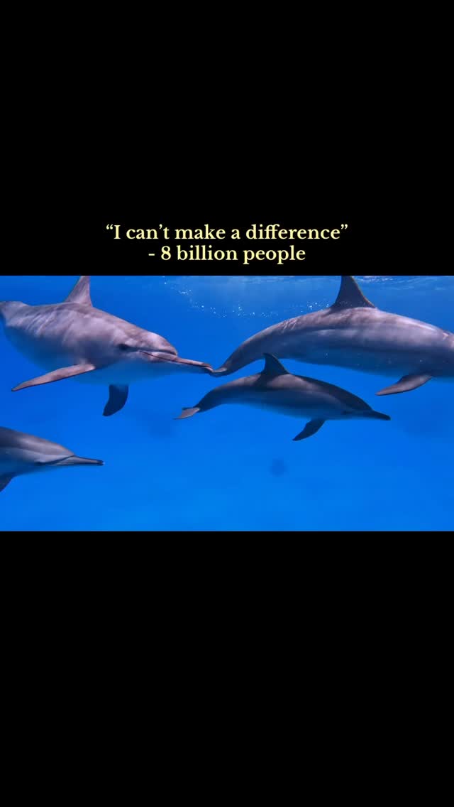 We CAN make a difference! ๐ฑ๐ฆ #conservation #compassionateconservation #animalrights #platbased #animals