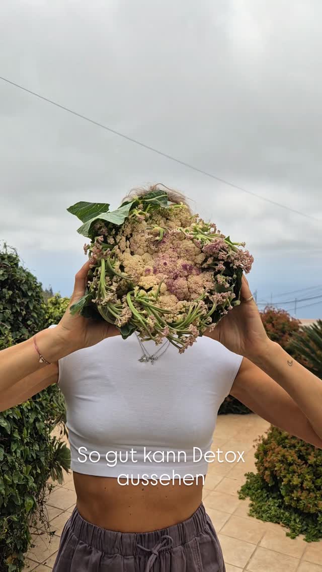 So gut kann Detox aussehen
Detox bedeutet nicht Verzicht. Detox bedeutet, deinen Körper mit allem zu versorgen, was ihm wirklich guttut. 🌿
Frische, nährstoffreiche Mahlzeiten, natürliche Zutaten und Essen, das Energie schenkt statt sie zu rauben. Bei unserem Retreat durfte Detox lecker, bunt, sättigend und voller Genuss sein.
Vegane, glutenfreie Küche mit Liebe zubereitet – für mehr Leichtigkeit, Wohlbefinden und neue Kraft.
Wer sagt, Detox sei langweilig, war noch nie bei uns. 😉
#DetoxRetreat #yogaretreattenerife #soulfood #soulfood