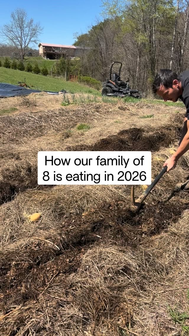 Nothing tastes like real food, butter from the cow you milked, pie from the pumpkin you grew, or pizza from the tomatoes you canned when summer was here.
#country #farm #homestead #fromscratch