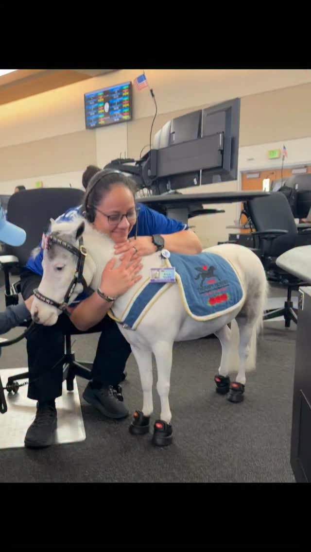 We brought Liberty Belle and Blue Moon to give the 911 Dispatchers in downtown LA a much needed wellness break. #firstresponders #community #wellness #respect #compassion #horse #minitherapyhorses @equusfoundation @calabasassaddlery @easycareinc @platinumperformance @dodgers #hope #trauma @crt_lamayor