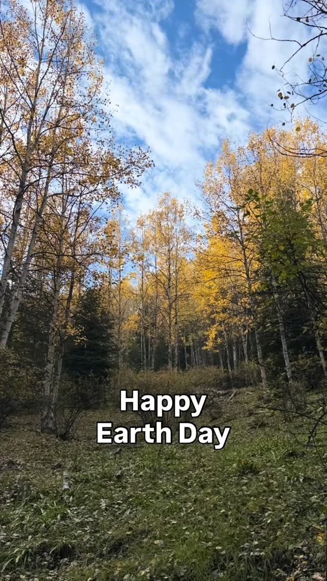 Happy Earth Day!
Hug a tree 🌲 Plant a seed 🌱 Touch grass 🌎 Get outside and play ❤️ Respect
#highaltitudenm #cloudcroft #lincolnnationalforest #leavenotrace #getoutsideandplay