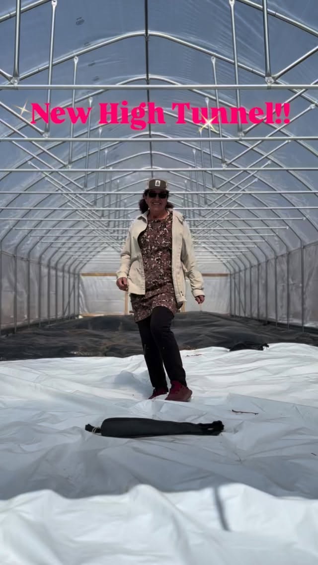 Turns out a new high tunnel makes a great cat walk, so we celebrated accordingly 💁🏼♀️ Stay tuned to see all the future stars we’re growing here 🌟