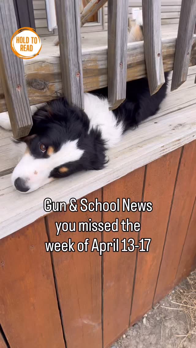 If we haven’t met yet, hi. I’m Emily. Your new BFF that’s here to keep you plugged in JUST enough to navigate raising your children as they are surrounded by gun violence, without totally tanking your mental health. 🫠
One thing I do is help parents like you explain lockdown drills to their child in a way that 1) supports them and 2) teaches them to put their safety first.
It’s not the solution to our gun violence crisis, but it can help your child.
With their physical safety, yes. But also, just as important, with their emotional safety.
Studies show that when a child is experiencing something stressful in their life, having just one adult that they can talk to about it helps them cope better in the moment and also builds resilience in the long run.
On this page we also talk about the need for your school to have more transparent lockdown drill procedures, a functioning anonymous reporting system (that prevent shootings!), and more.
Plus, we do quick news roundups like this one that help you operate with a full understanding of your environment without being totally overwhelmed. If you want more details on a story shown here, you can look it up. Otherwise, you get the quick hits just enough to not be gaslit into thinking you’re crazy when you talk about this issue.
Follow along to become a more informed, valuable resource to your child and their school.🫶
#schoolsafety #parentingtips #momgram #momsofinstagram #ptamom