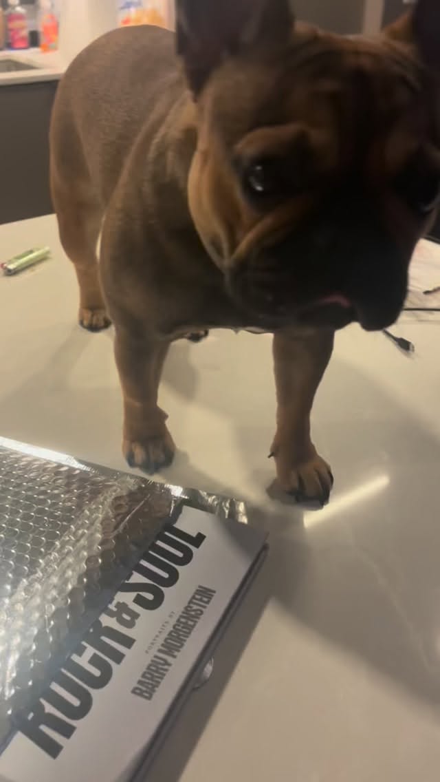 Even dogs love Rock & Soul!:)
Get your signed copy here:
https://www.barrymorgenstein.com/product-page/copy-of-rock-amp-soul-portraits-book-of-photography