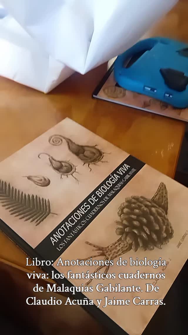 Intervención de lectores de papel y presentación de libro
Con el artista @factoria_papel