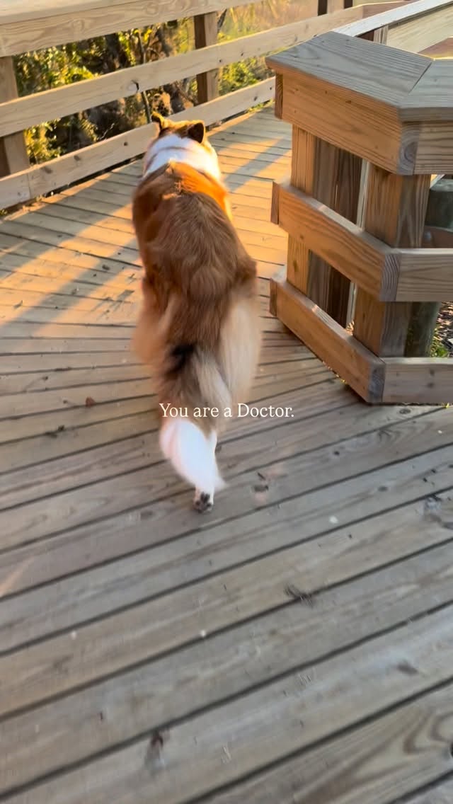 If I know who I am and what I’m about, then I know how to show up.
This is my filter as a Doctor and it keeps me centered, focused and motivated.
What we do every day as Doctors requires that our minds are on our side. What are we doing to ensure that?
#mindsetmatters #veterinarymindset #veterinarymedicine #vetwellness