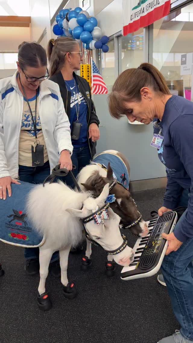We love our 911 Metro Dispatchers! @equusfoundation #wellness #compassion #horse #firstresponders #minitherapyhorses #hope #compassion #firstresponders #dispatchers @911lapd @easycareinc @rose_parade #emergency #community #comfort #happiness #joy