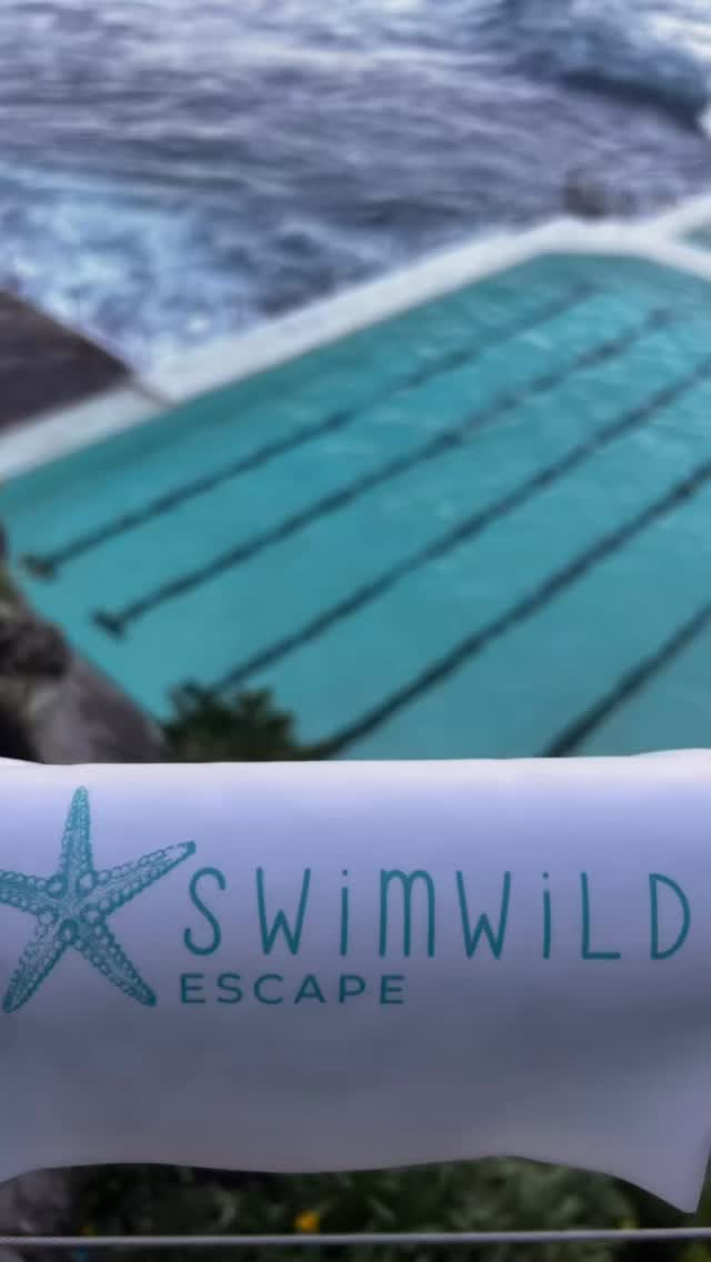 Icebergs, Palm to Shelly, Ferry rides, Vladswim session, currents, sunshine, Bondi strolls
What a weekend, thank you 🩵
#vladswim #daretoswimwild #palmtoshellyswim #icebergspool