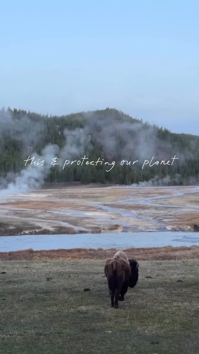 From @ashleynoblewildphotography Happy Earth Day 🌎