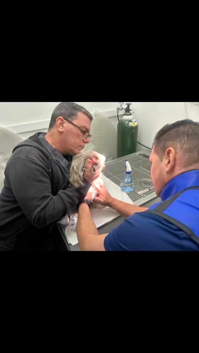 En Fontes Animal Clinic cuidamos a tu mascota como parte de nuestra familia 🐾💙
Nuestro compromiso es brindar atención veterinaria de calidad, con amor, dedicación y experiencia en cada visita 🩺✨
🐶🐱 Desde chequeos rutinarios hasta cuidados especializados, estamos aquí para tu mejor amigo.
📍 2330 SW 67 Ave, Miami, FL 33155
📞 305-364-5327
🌐 https://www.fontesanimal.com
¡Agenda tu cita hoy mismo! 🐾
#fontesanimalclinic #miami #hialeah #veterinarymedicine #vettech vetmed PetCare MascotasFelices CuidadoVeterinario MiamiPets DogLovers CatLovers PetFamily CuidandoConAmor
