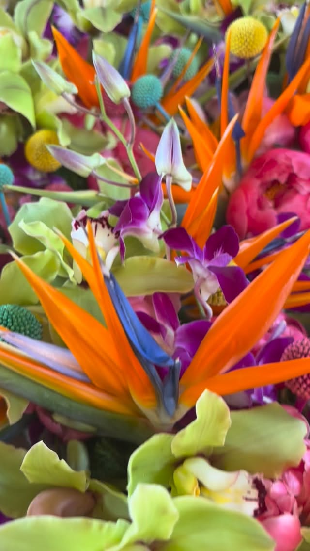 Color in your table linens and florals for an event totally sets the tone and this fun mix yesterday was the perfect way to kick off a welcome party ๐ด๐
#designsbydarenda #flowers #flowerstagram #tropical #centerpieces
