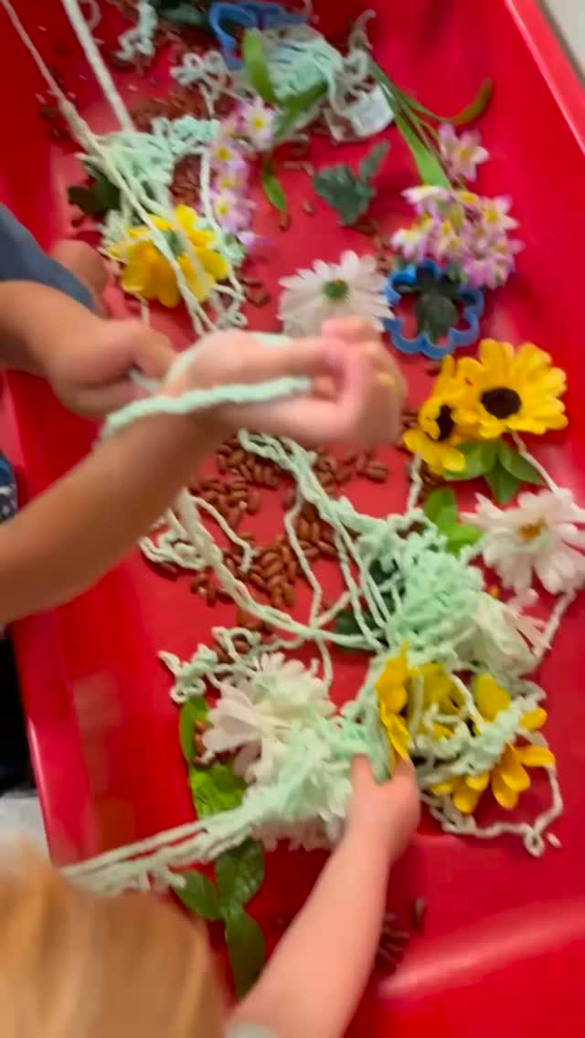 Sensory garden days really ARE the life.
Kids exploring, touching, smelling, discovering this is childhood the way it should be.
Play-based learning hits different when nature is the classroom 🐝💛
#SensoryGarden #ThisIsTheLife #WonderBeesLearningAcademy #LearningThroughPlay #OutdoorLearning #NaturePlay #HoustonMoms #jerseyvillagetx #EarlyChildhoodEducation #HandsOnLearning #KidsActivities #ViralTikTokKids #PlayBasedLearning #SpringFun #ChildDevelopment