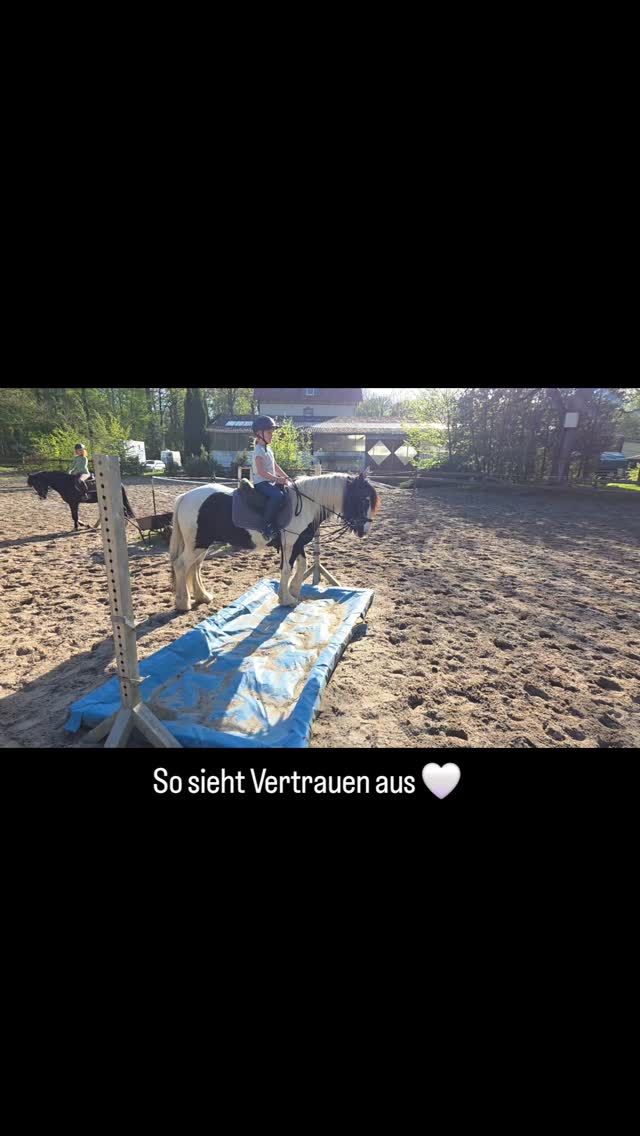 Brav, unkompliziert und mit einem tollen Charakter ausgestattet.
Bounty zeigt sich unerschrocken und macht einfach Spaß – egal ob im Alltag oder bei kleinen Abenteuern.
#ponytime
#kinderpony
#reitunterricht
#ponyliebe
#braunschweig
