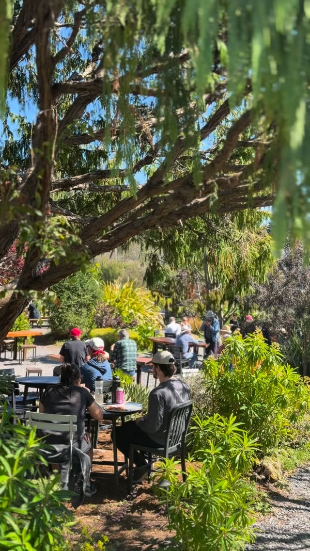 Sweet sunlight, blooming flowers, and pizza in the garden.
More rain may be on the horizon,
so we’re soaking it in while we can. 🌤️
#WoodFiredPizza #CoastalEscape #WeekendPlans #Mendocino #ThePlaceToBe