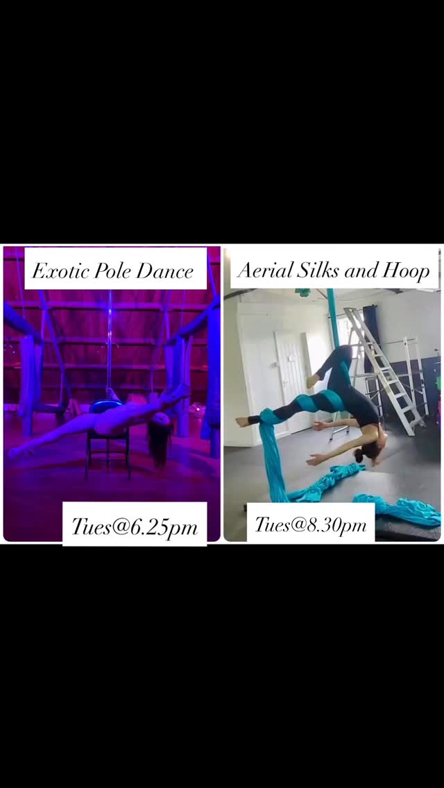 Timetable for our beginner courses:
🎪 Tuesdays: Exotic Pole Dance at 6.25pm
🎪 Tuesdays: Aerial Silks and Aerial Hoop at 8.30pm
Located in Aylesbury, Bucks
Our beginner courses are designed to welcome everyone, regardless of fitness level. You’ll build strength, flexibility, and confidence in a supportive environment while learning exciting new skills.
🎪 All our beginner courses are bookable online now. To view what courses we have availability in, please check our website out.
🎪 Our three dedicated studios are located in Duck Farm Court, Aylesbury. (Near Morrisons)
🎪 Our courses are for everyone. There is no minimum fitness or gymnastic experience required to join.
🎪 The minimum age for adult courses is 16. There is no maximum age.
🎪60 min weekly classes.
🎪Free make up sessions, if you miss a class (terms apply), free open training and discounted stretch classes, discounted HITT classes for single class members
🎪Free make up sessions, if you miss a class (terms apply), free open training, free stretch and HITT classes, discounted workshops, discounted parties and discounted private lessons for our multi course students.
🎪Highly trained and insured instructors
🎪Multi course discounts.
For full details on the course and the terms and conditions attached to the bookings, please check the booking page out!
https://www.pole-attack.co.uk/book-online
#aylesbury #tring #thame #aylesburymums aylesburyvalve