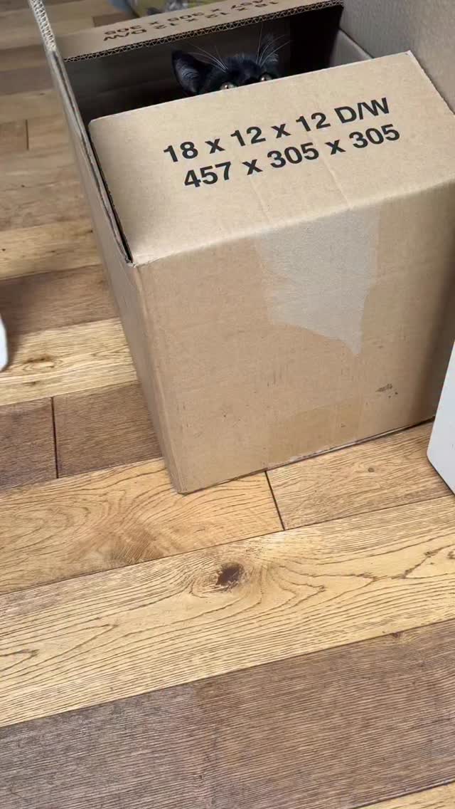 Can’t resist a box…… 😻
#myrtleandjuniper