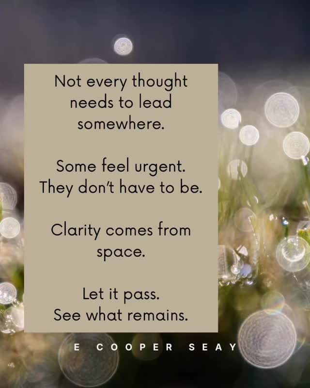 “Not every thought needs a reaction.”
#antahsara #awareness #mentalclarity #presence