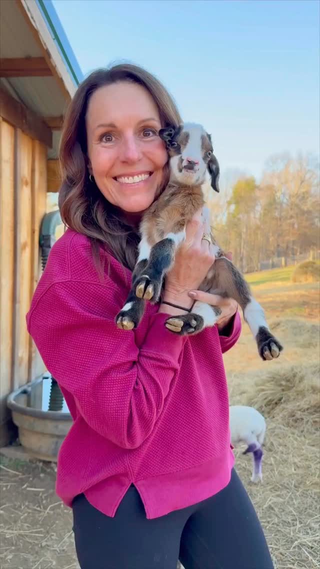 Meet the cutest little addition to our ranch family! This precious baby is stealing hearts everywhere! 🥰
ㅤ
#goat #animal #farm #farmanimal #babyanimals #farmlife