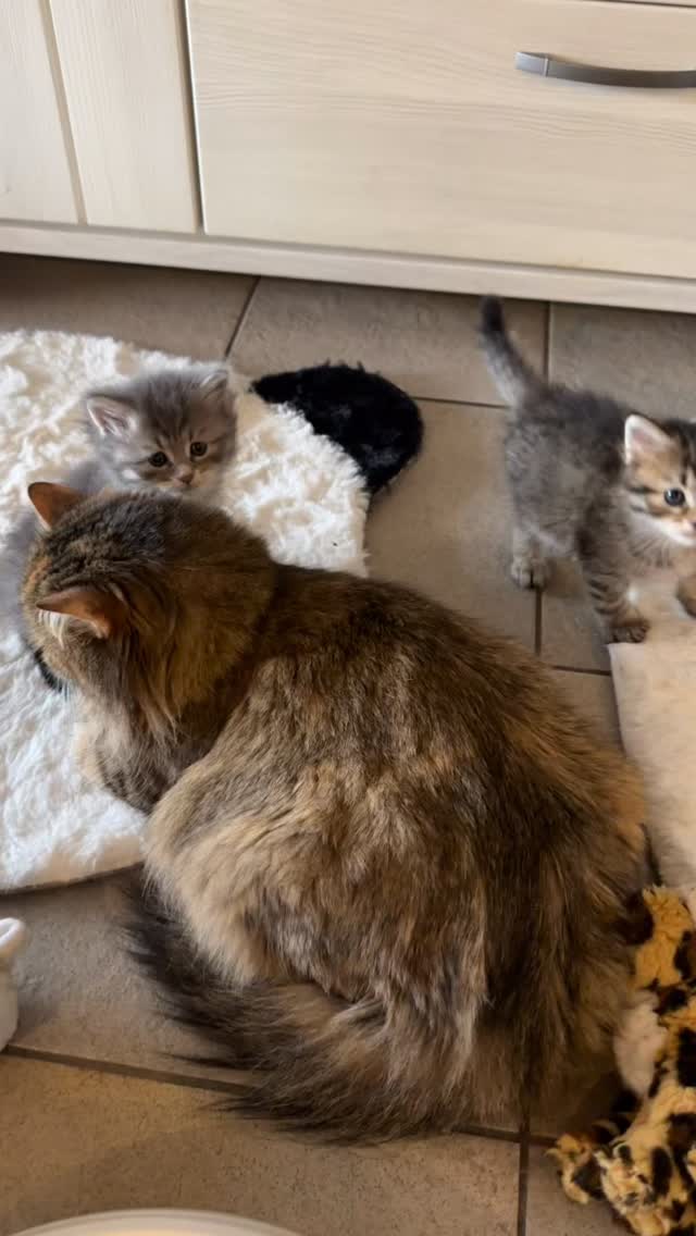 Esmina en der kroost ๐ป