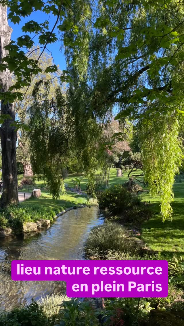 jardin lieu de ressource 🐝🌺🌸
il existe même en plein cœur de nos grandes villes comme ici à Paris, des endroits ressources pour se reconnecter à la beauté, l'émerveillement , à la nature dont nous faisons partie. à la joie, à l'amour !🦚
Parfois je venais le matin à 7h30 quand le jardin s'ouvrait pour méditer devant cette petite cascade pour écouter le chant des oiseaux pour me reconnecter à la terre 🌏mere ... et être à l'écoute de mon cœur et de toutes les vibrations autour de moi.
Connais-tu ce jardin ??
#jardindesbatignolles metro Pont Cardinet !
Je t'en ferai découvrir un chaque semaine . #jardinsecret #parisnatureenville #lieudedetente