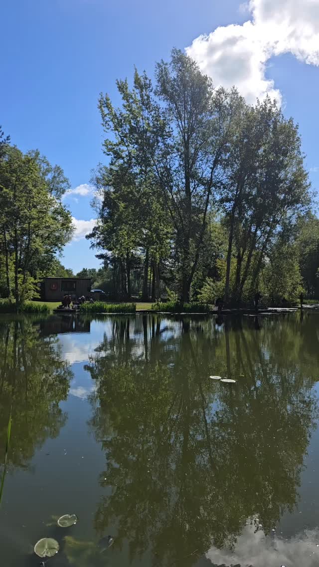 The sun is shining ☀️ What better place to spend your day than by the water with a rod in hand? 🎣
#saturdaymood #fishingfun🎣 #coarsefishing #flyfishing