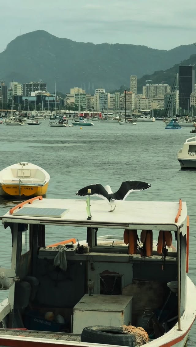 Almoço que vira experiência. 🍷✨
No Bar Flutuante Rio, entre sabores e vista única, a elegância do Botanic Series, da Casas del Bosque, conduziu cada momento da degustação.
Um encontro de aromas, texturas e boa companhia. 🌿🥂
