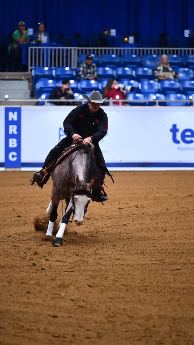 ๐บ๐ธ @north_american_reining_stakes nominated sire VULCANO and @f_bertolani were the L3 Open Reserve Champions at the @nationalreiningbreedersclassic with a huge 222!
โก๏ธ Standing at @toyonranch
#horsesofinstagram #reining #horseriding #horselove #equestrian