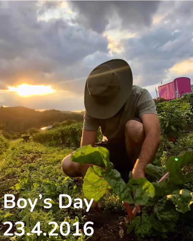 Und die Jungs kommen bei uns auch nicht zu kurz. Wir freuen uns auf 5 Jungs zum Boys Day am Donnerstag! Was macht ein Marktgärtner? Ihr werdet es bald erfahren … #boysday #marktgarten #taunus