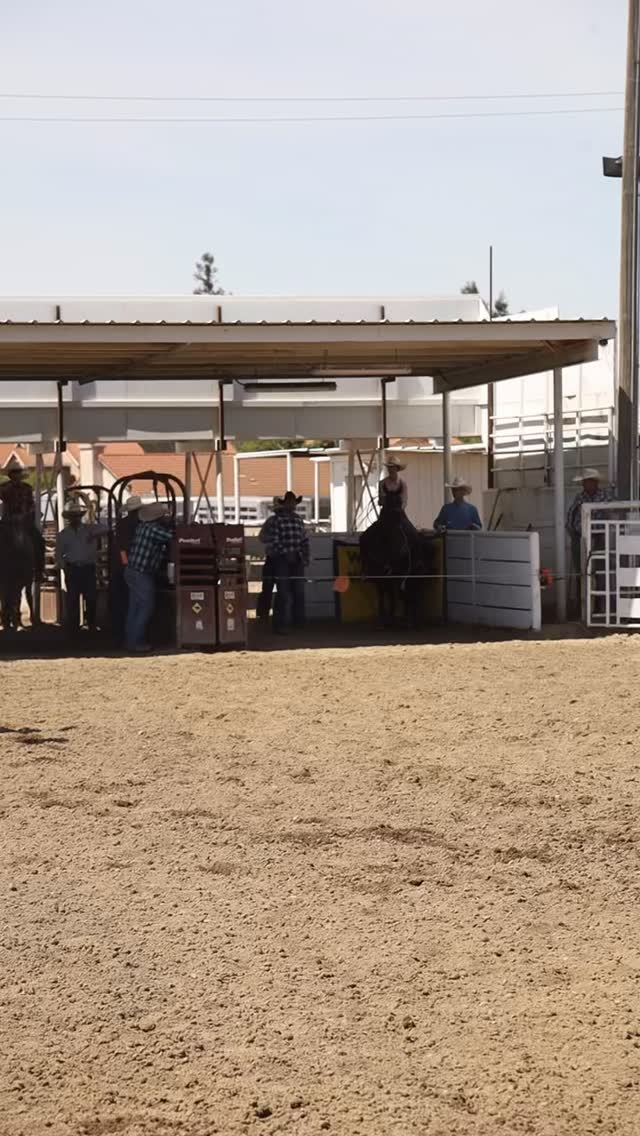 Check out this cool video from one of our sponsored riders Chase Dugo 🔥🐎
Congrats on the first round win at this past weekends High School Rodeo! And doing it while repping his Renew Gold Glo Tail bag ✨😉
That’s what performance, hardwork, and great feed looks like 👏
#RenewGold #TeamRoping #CHSRA #Heeler