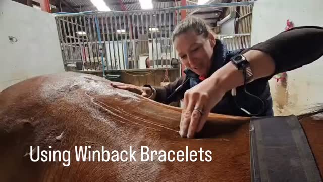 Did you know using the Winback bracelets I can do all my normal hands on physio whilst delivering the current through my hands to help warm the tissues deep down, provide pain relief and increase cellular function. This pony has kissing spine and had some recent injections. Along with all the normal rehabilitation we decided to add this treatment in, to get her there a bit quicker. Next time I will add in some muscle stimulation to recruit the deep spinal stabilisers!#winback#equinephysio#vetphysio#tecartherapy#wales