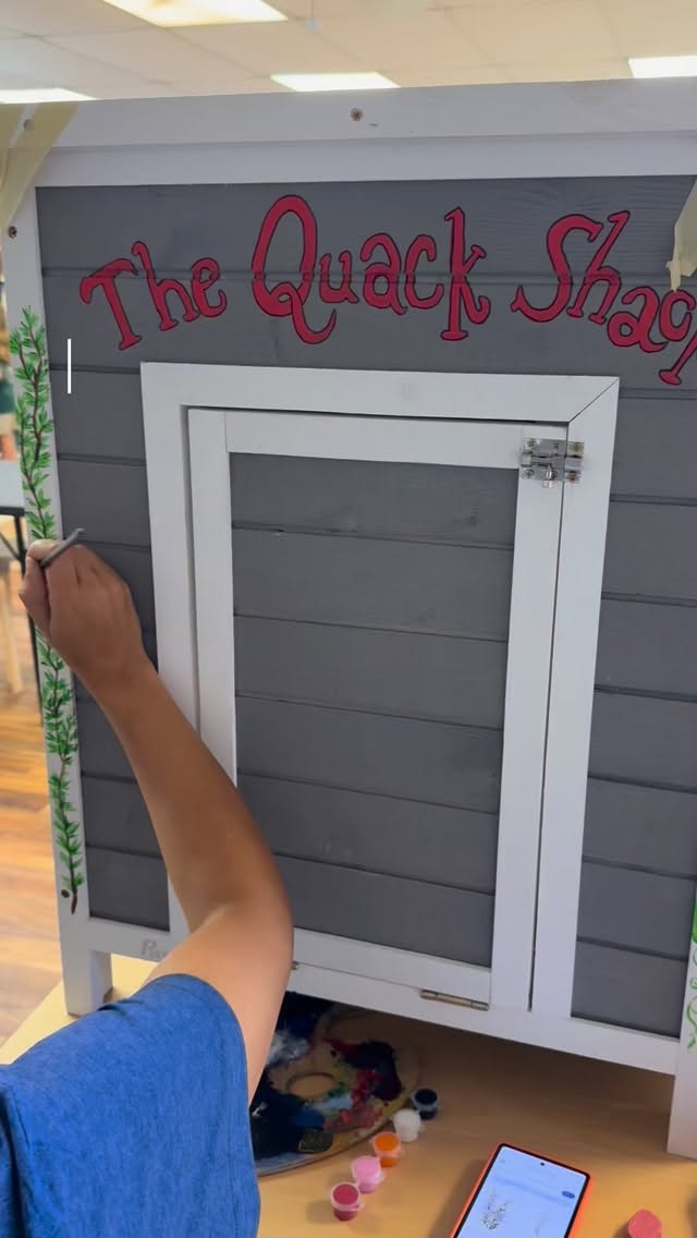Introducing the new quack shack! Thank you to the wonderful family that made this donation for our girls ❤️ @e.t.lapha @smilingfirefly78 #ducks #quackshack #nature #montessori