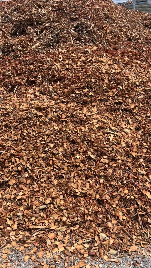 Who’s that on top of the mulch pile?? Join us this Saturday for Spring Care Day to bring this mulch pile down and give back to your community 💚
And another thanks to our earth month partners for their support in making volunteer days like this possible:
@caclimateaction @californiavolunteers @calreleaf @sce @eastwestbank.us
📅April 25 | 9:00 am-12:00 pm
📍Multiple sites in Monrovia
🤝RSVP & choose your site in bio!
