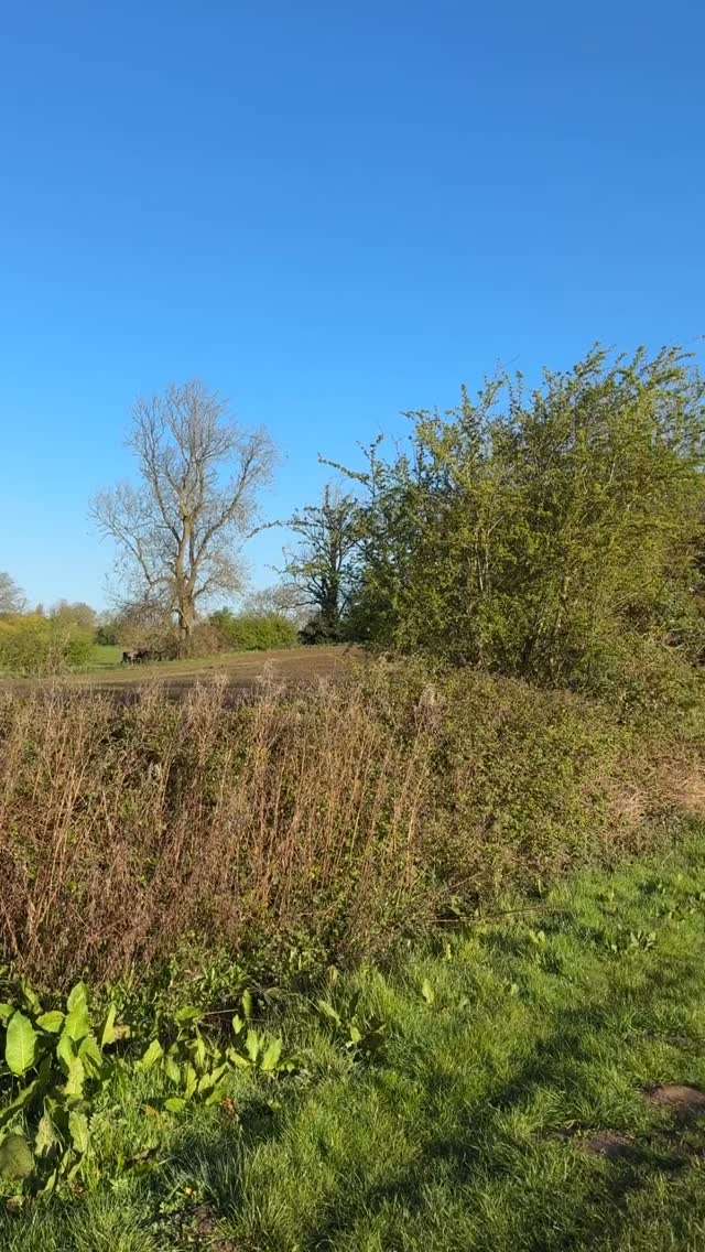 ❓How many of these do you do? Let me know in the poll below.
👇 Hit ‘vote’ and remember to be honest!
#selfcare #anxiety #selflove