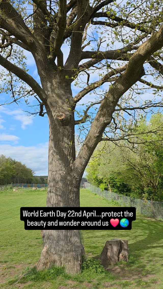 Earth Day 22nd April 2026. The Dog Field 🌳 'Our Power, Our Planet'#earthday #ourpowerourplanet 🌎