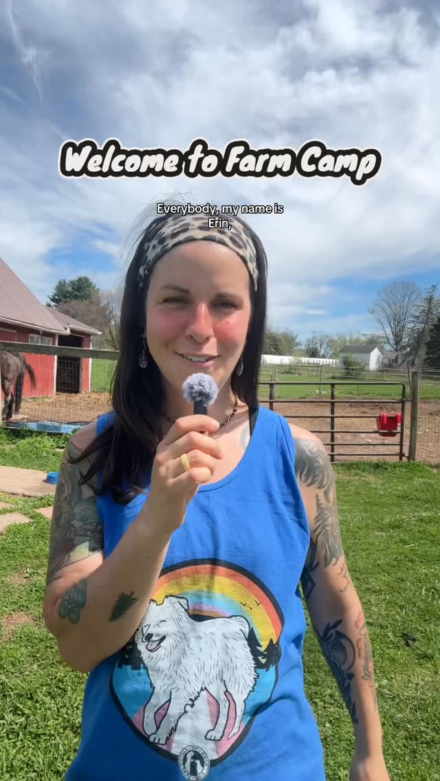 What should you actually look for when choosing a daycare or camp for your dog? Here are the three things that matter most:
✨A certified professional trainer running the show. Not just a dog lover, an actual credentialed trainer who understands behavior and knows how to manage groups safely.
✨Small ratios. I aim for 1 trainer to 6 or 7 dogs max. Small groups mean every dog gets attention and nothing slips through the cracks. This also is determined by the group- for instance I have one group where I have three trainers on staff for 7 dogs. It’s all about knowing the dog and their individual needs!
✨Thoughtful grouping. Size does not always match personality. Some big dogs are total softies and some small dogs want to run the world. Groups should be matched by temperament and play style, not just size.
✨And one more worth asking about: what does the space actually look like? Dogs dumped into a bare cement room and expected to play for 8 hours straight are going to get overtired, and an overtired dog can come home with real behavior problems. Look for enrichment, structure, and variety throughout the day.
Farm Camp currently has a full roster, but we do have a waitlist. Link in bio if you want to grab a spot for your dog.
#dogdaycare #farm #chestercountypa #phoenixvillepa