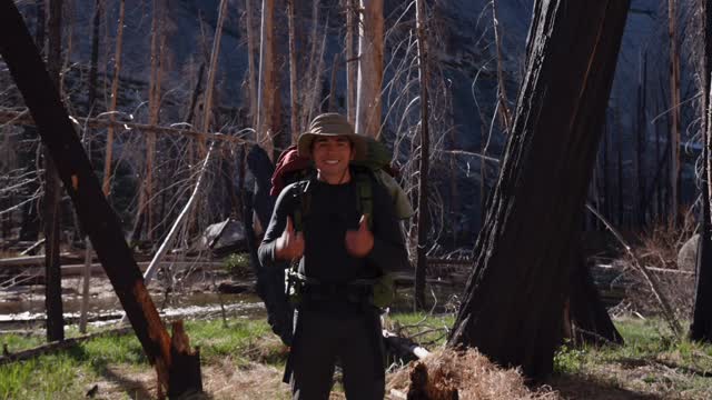 Let’s run away #buffalotrafficjam #outdoors #cinematic #nature #foolsgold