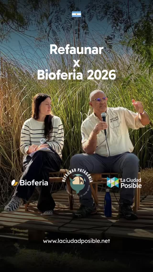@refaunar participó en la #Bioferia en Buenos Aires, uno de los encuentros de sostenibilidad más relevantes de América Latina. 👏🏼
Por invitación de la Municipalidad de Puerto Madryn, el proyecto compartió stand con la Secretaría de Turismo y recibió a una gran concurrencia de público interesado en la conservación de nuestras especies nativas.
Víctor Fratto, director de REFAUNAR, programa que impulsamos junto al Club de Roma, brindó charlas educativas, información y herramientas clave sobre la relación entre los seres humanos y la fauna silvestre en contextos urbanos, con el fin de fomentar una convivencia responsable.
Desde La Ciudad Posible seguimos impulsando iniciativas que fortalecen la regeneración y el cuidado de la biodiversidad en los territorios. 🌱