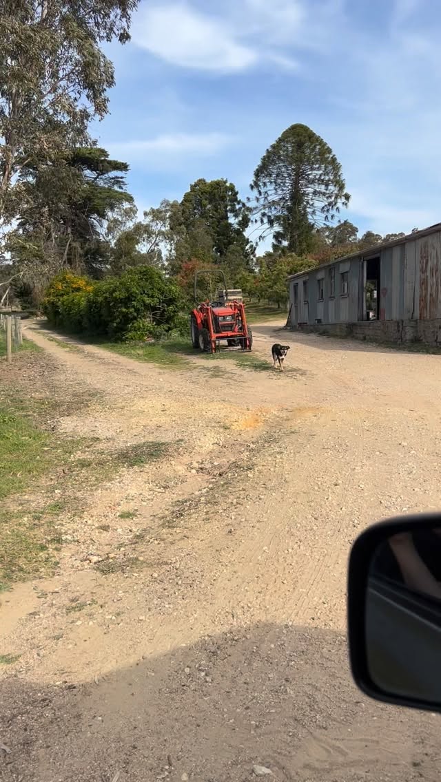 Snaps from a Friday farm visit 🍎
We love what we do and the people that make it possible. Huge respect to producers like Gav and Carol from Langdale Orchards. 🙌🏽
We’re all prepped and ready for a big ANZAC Day weekend across our markets.
#smallbusinesssupportingsmallbusiness #melbourne